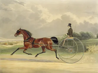 Lord William, engraved by J.R. Macrell